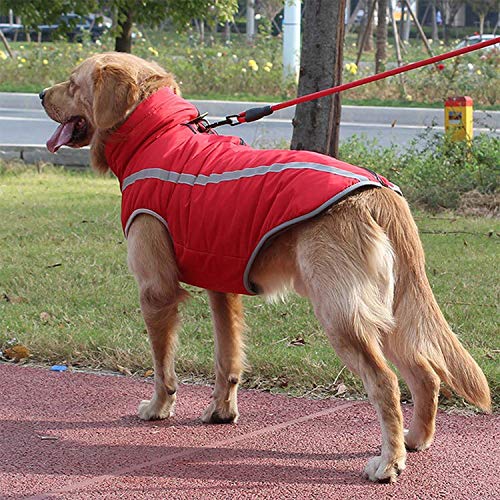 NA Chaleco Chaleco para Perros Talla Grande Abrigo otoño Invierno a Prueba de Viento cálido Ropa para Perros para Perros Ropa Reflectante cúrcuma 5XL