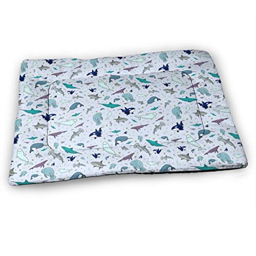 NA Ocean Animals Mascota Ultra Suave con Bonitas Estampadas, tapete para Eliminar el Pelo, Lavable, Antideslizante, Resistente al Olor para Perros y Gatos, 31 x 21 Pulgadas