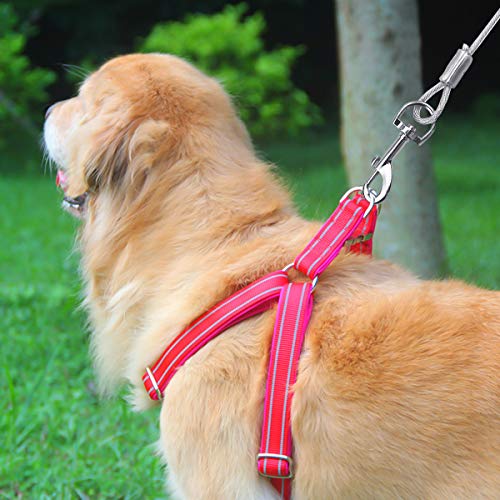 NATUCE Cable para Atar Perros, 10 pies (3 Metros) Cable de Amarre para Perros de hasta 176 Libras, Adecuado para Todas Las Razas (Azul)