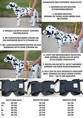 Nature Pet – Ayuda Trasera para Andar para Perros, Ayuda de rehabilitación para Perros con Problemas en la Columna Vertebral, la Cadera y Las Rodillas, Marca Principal de Instrumentos de Neopreno.