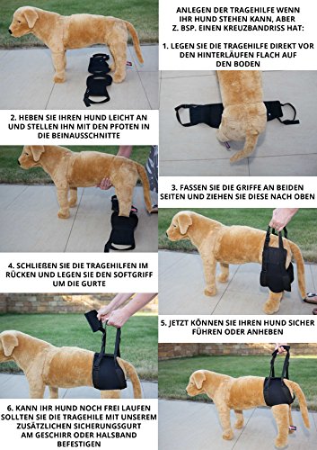 Nature Pet – Ayuda Trasera para Andar para Perros, Ayuda de rehabilitación para Perros con Problemas en la Columna Vertebral, la Cadera y Las Rodillas, Marca Principal de Instrumentos de Neopreno.