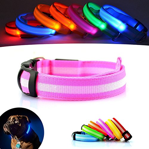 NEO+ Visibilidad y Seguridad del Perro mejoradas Collar de Seguridad LED para Perros con LED Recargable(Rosado XL)