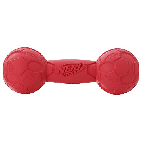 Nerf Perro chirriador Barbell Perro Juguete