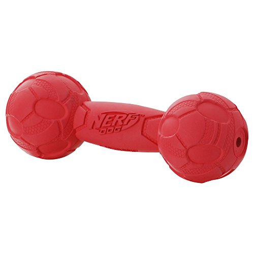 Nerf Perro chirriador Barbell Perro Juguete