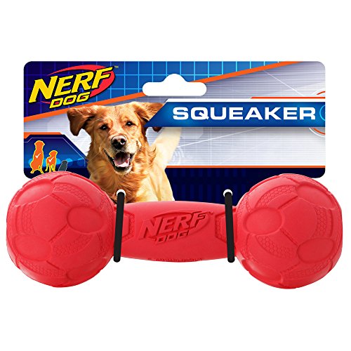 Nerf Perro chirriador Barbell Perro Juguete