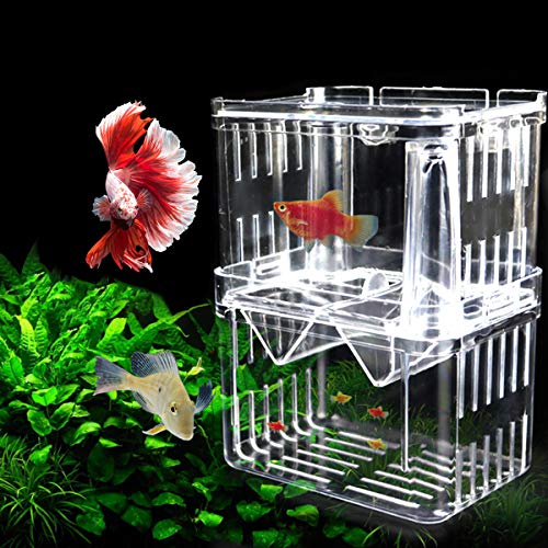 Netspower de Doble Capa de desove del Acuario desove Bandeja, plástico Transparente Cultivo de Peces Aislamiento Tanque de cría Caja de cría con 2 ventosas para Peces - 8 * 7 * 11 cm