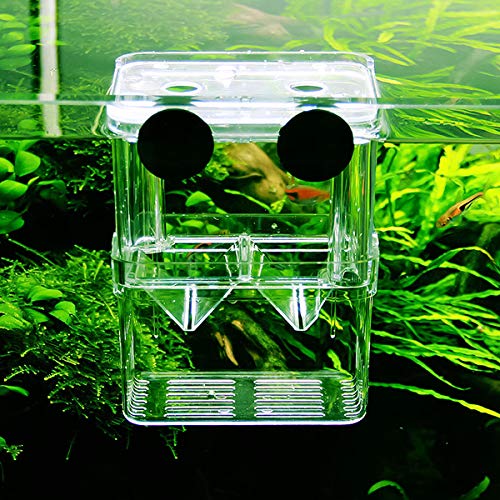 Netspower de Doble Capa de desove del Acuario desove Bandeja, plástico Transparente Cultivo de Peces Aislamiento Tanque de cría Caja de cría con 2 ventosas para Peces - 8 * 7 * 11 cm