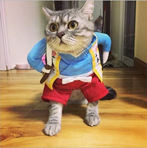 NIEFENG Perro Sudaderas Traje Divertido del Gato Traje Uniforme Ropa del Gato del Perrito del Traje Ropa Vestirse Juego del Partido de Cosplay Ropa de Gato Ropa, tamaño: M (Color : Samurai Knife)