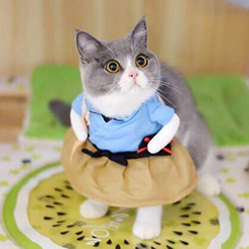 NIEFENG Perro Sudaderas Traje Divertido del Gato Traje Uniforme Ropa del Gato del Perrito del Traje Ropa Vestirse Juego del Partido Ropa de Cat Cosplay Ropa, Tamaño: L (Color : Urashima Taro)