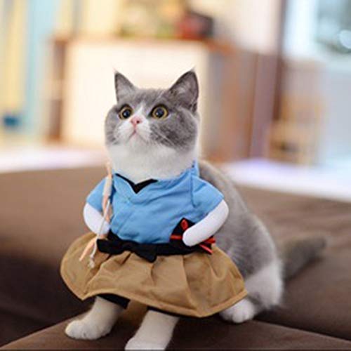 NIEFENG Perro Sudaderas Traje Divertido del Gato Traje Uniforme Ropa del Gato del Perrito del Traje Ropa Vestirse Juego del Partido Ropa de Cat Cosplay Ropa, Tamaño: L (Color : Urashima Taro)