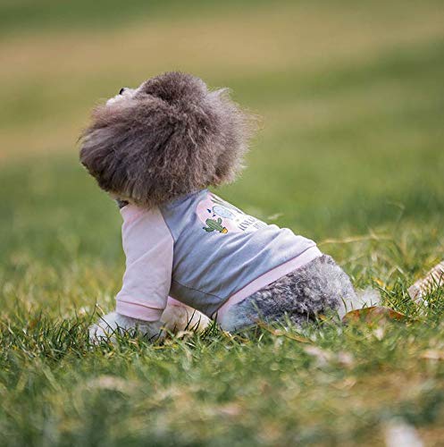 Nueva Primavera y Verano Ropa para Mascotas Ropa para Perros Camiseta de algodón Venta al por Mayor Estampado Lindo,1,L