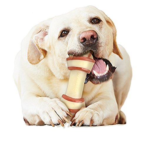 Nylabone Hueso con Nudo Extreme Alternativo al Cuero - Juguete masticable para la higiene Dental de los Perros - Sabor a Ternera - Grande - para Perros de hasta 23 kg