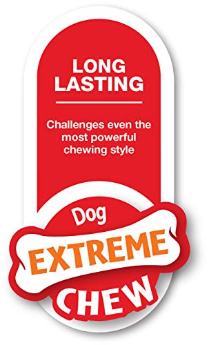 Nylabone Hueso con Nudo Extreme Alternativo al Cuero - Juguete masticable para la higiene Dental de los Perros - Sabor a Ternera - Grande - para Perros de hasta 23 kg