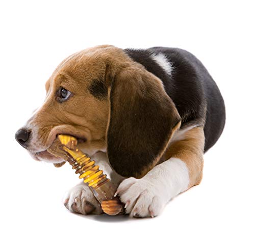 Nylbone JU01668 Nylabone Dura Chew Cheesesteack Queso M