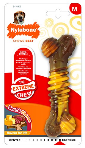 Nylbone JU01668 Nylabone Dura Chew Cheesesteack Queso M