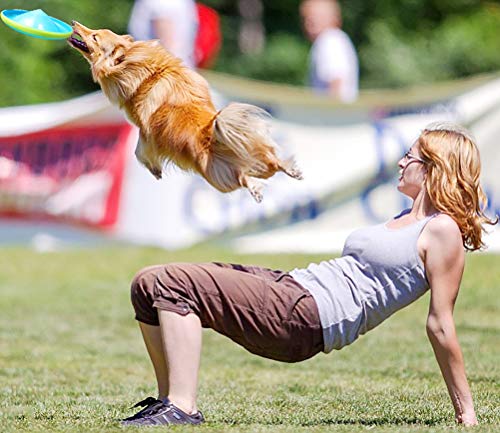 OPORA (3 Piezas, Color Al Azar) Frisbee Perro Silicona, Juguete para Que El Perro Vaya A Buscar Al Aire Libre,Petfrisbee,23cm