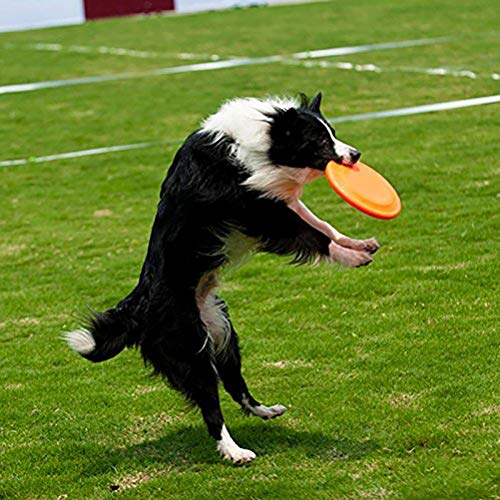 OPORA Frisbee Perro Blando, Caucho Natural Puro Seguridad No Tóxico Interactivo Los Juguetes del Animal Doméstico, para Perro Pequeño/Mediano/Grande (5 Piezas, Color Al Azar),DogFrisbees,17.5cm