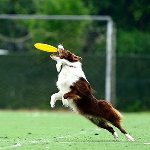 OPORA Frisbee Perro Blando, Juguetes para Perros para Perros Medianos A Grandes Resistente, Natural Puro Seguridad No Tóxico (5 Piezas, Color Al Azar),Random,23cm