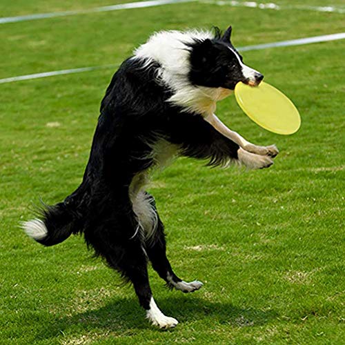 OPORA Frisbee Perro Blando, Juguetes para Perros para Perros Medianos A Grandes Resistente, Natural Puro Seguridad No Tóxico (5 Piezas, Color Al Azar),Random,23cm