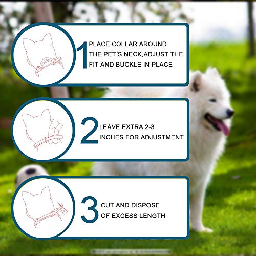 OPUSS Collar para Mascotas Recomendado por Veterinarios para pulgas y garrapatas, protección al Aire Libre, Tratamiento eficaz contra pulgas