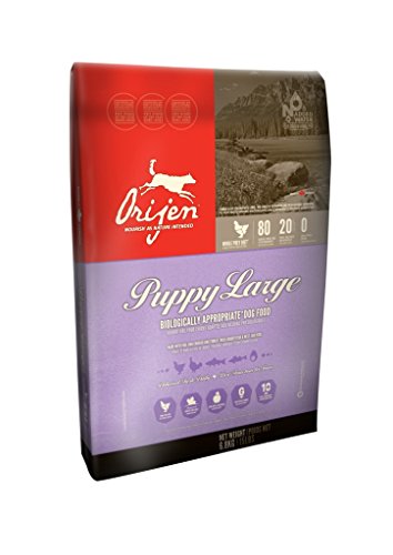 Orijen Puppy Large 13 kg