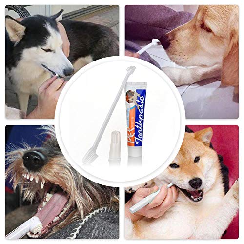 Pasta De Dientes Para Perros Juego De Cepillos De Dientes Para Mascotas Suciedad Y Mal Aliento Eliminación De Los Productos De Limpieza Bucal Evite La Caries Dental Para Perros Y Gatos Universal