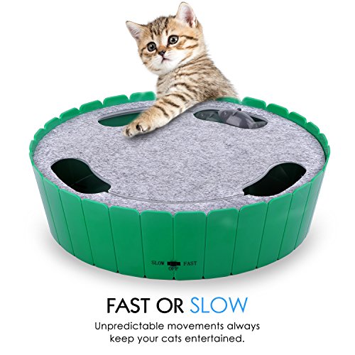 Pawaboo Juguete/Escondite Electrónico para Gato - Pet Teasing Toy Hide & Seek Electronic Caza del Ratón Interactivo Cat Toy, Verde