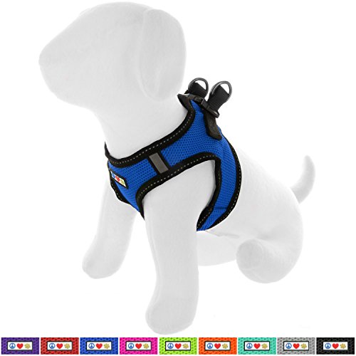 Pawtitas Arnes de Tela Antitirones Perro y Cachorros, Chaleco Acolchado para Mayor Comodidad, diseño Resistente, Ajustable y Transpirable Extra Extra Pequeño Azul