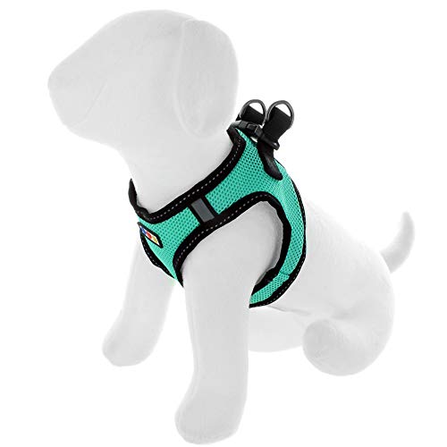 Pawtitas Arnes de Tela Antitirones Perro y Cachorros, Chaleco Acolchado para Mayor Comodidad, diseño Resistente, Ajustable y Transpirable Extra Pequeño Aquamarina