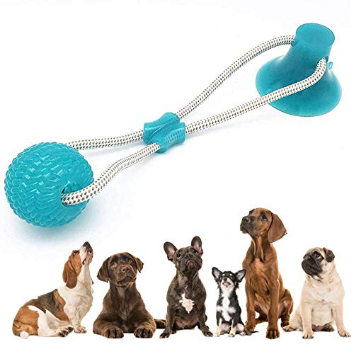 Pelota de Juguete para Masticar para Perro, Juguete con Ventosa para morder Molar, Pelota de Goma Elástica, Juguete de Bola para Mascotas, Interactivo Juguete para Dientes Limpiar, Tira y Afloja