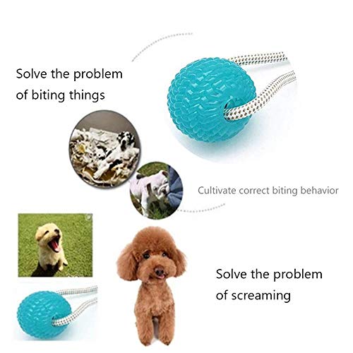 Pelota de Juguete para Masticar para Perro, Juguete con Ventosa para morder Molar, Pelota de Goma Elástica, Juguete de Bola para Mascotas, Interactivo Juguete para Dientes Limpiar, Tira y Afloja