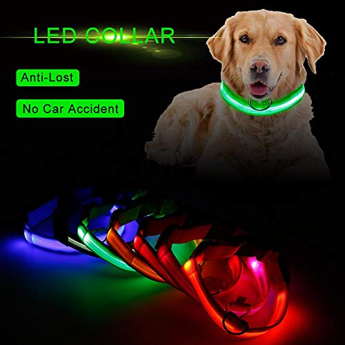 PENVEAT Collar de Perro Anillo de Destello Personalizado Nylon Etiqueta de Perro Mascota Collar Personalizado Cachorro Collar de Gato Ajustable para Talla de Perro Mediana Grande, Verde, S, España