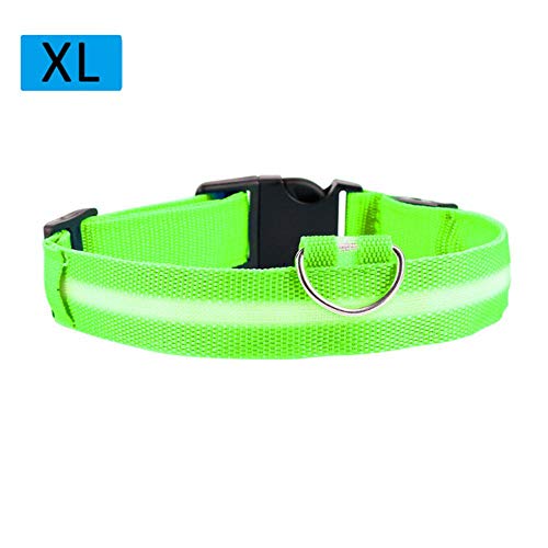 PENVEAT Collar de Perro Anillo de Destello Personalizado Nylon Etiqueta de Perro Mascota Collar Personalizado Cachorro Collar de Gato Ajustable para Talla de Perro Mediana Grande, Verde, S, España