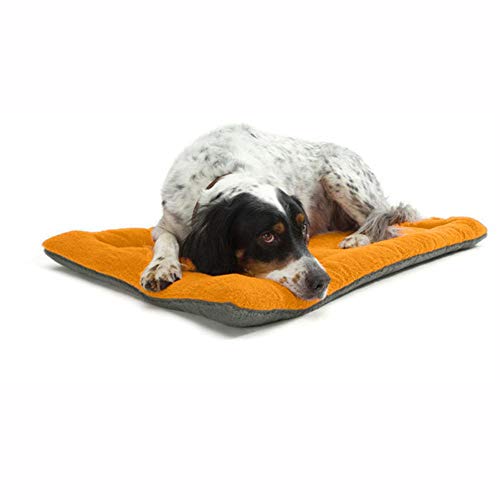 PENVEAT Winter Dog Cat Cushion colchonetas para Mascotas Soft Puppy Sleep Bed Kennel Warm Thick Blanket Colchoneta para Perros pequeños, medianos y Grandes Cama, Verde, 48x36x3 CM, España