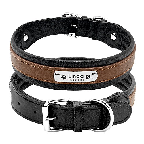 PET ARTIST Collar para Perro con Nombre de Perro Grabado Personalizado de Piel Acolchada para Mascotas, Etiquetas de identificación para Mascotas