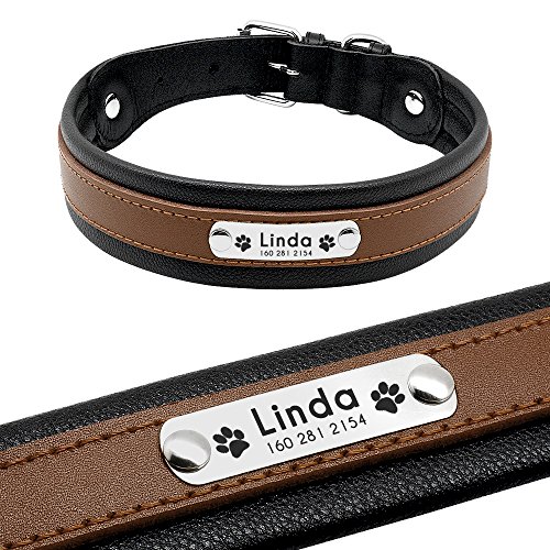 PET ARTIST Collar para Perro con Nombre de Perro Grabado Personalizado de Piel Acolchada para Mascotas, Etiquetas de identificación para Mascotas