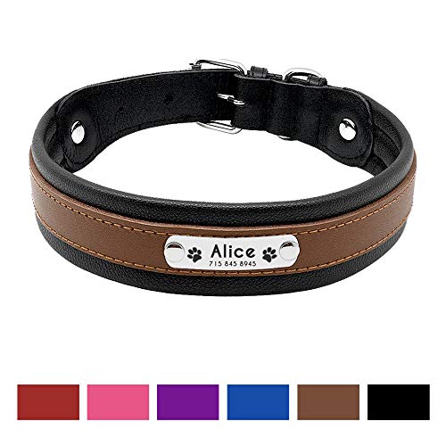 PET ARTIST Collar para Perro con Nombre de Perro Grabado Personalizado de Piel Acolchada para Mascotas, Etiquetas de identificación para Mascotas