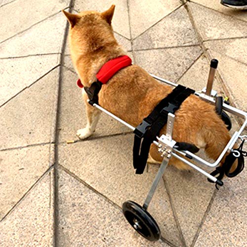 PET HOUND Silla de Ruedas Ajustable Auxiliar para Perro Coche para Rehabilitación Mascota Silla de Ruedas Discapacitados Perro Gato Asistido Caminar Coche Hind Pierna Ejercicio Coche S