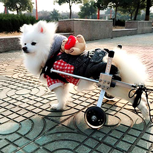 PET HOUND Silla de Ruedas Ajustable Auxiliar para Perro Coche para Rehabilitación Mascota Silla de Ruedas Discapacitados Perro Gato Asistido Caminar Coche Hind Pierna Ejercicio Coche S