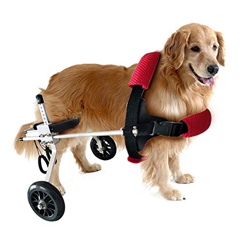 PET HOUND Silla de Ruedas Ajustable Auxiliar para Perro Coche para Rehabilitación Mascota Silla de Ruedas Discapacitados Perro Gato Asistido Caminar Coche Hind Pierna Ejercicio Coche S