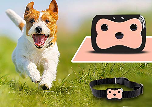 Pet Localizador GPS + Lbs Posicionamiento Gato Perro Prevenir Pérdida Alta Precisión Pet Collar, Negro