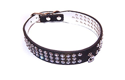 Pet Palace® Ante de "Debonair Doggy diseño Diamantes lujo collar para perros de distinción Venta Termina Midnight el Domingo.