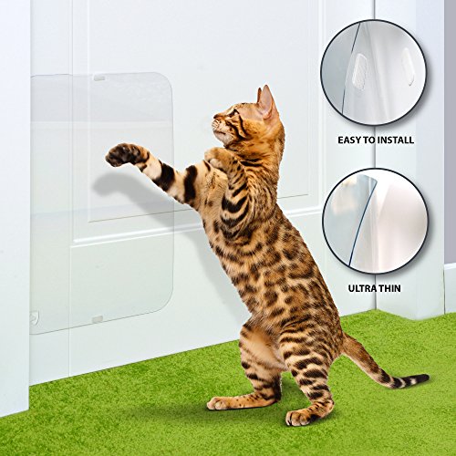 PETFECT - Protector de arañazos para Puerta de Gato (45 x 30 cm) para Uso Interior y Exterior, Transparente