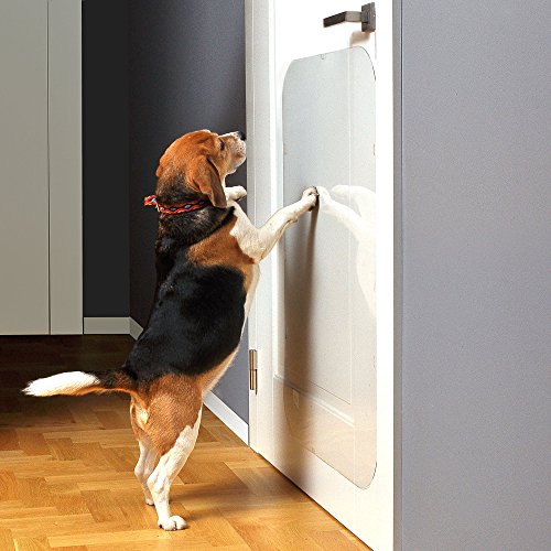 PETFECT - Protector de Puerta para Perro para Interior y Exterior, Transparente (90x40 cm)