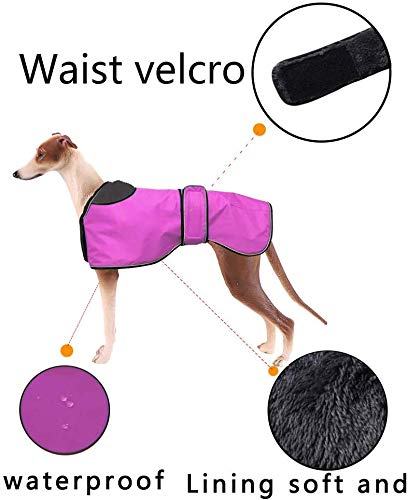 Pethiy - Chaqueta Impermeable para Perro, Abrigo de Invierno con Forro Polar cálido, Ropa para Perro al Aire Libre con Bandas Ajustables para Perros medianos y Grandes