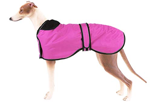 Pethiy - Chaqueta Impermeable para Perro, Abrigo de Invierno con Forro Polar cálido, Ropa para Perro al Aire Libre con Bandas Ajustables para Perros medianos y Grandes