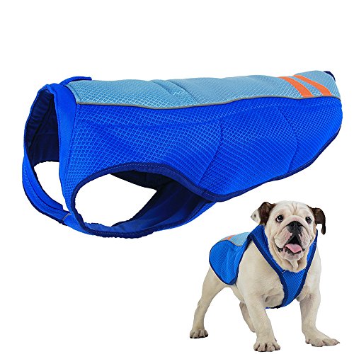 Petilleur Chaleco de Refrigeración para Perros Chaleco Refrescante Perro Mediano y Grande (M, Azul)