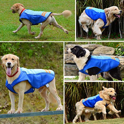 Petilleur Chaleco de Refrigeración para Perros Chaleco Refrescante Perro Mediano y Grande (M, Azul)