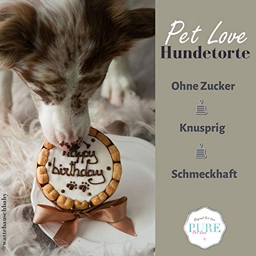 PetLove - Tarta para perros . Tarta de cumpleaños - Pastel para perros