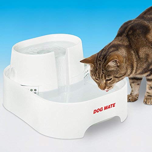 Petmate Dog Mate - Fuente Grande para Beber Agua Dulce para Perros y Gatos